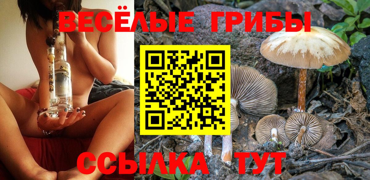 Москва  Псилоцибиновые грибы Cubensis  Вход с VPN  Псилоцибиновые грибы ЛСД 